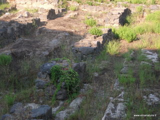 Neoria Naxos